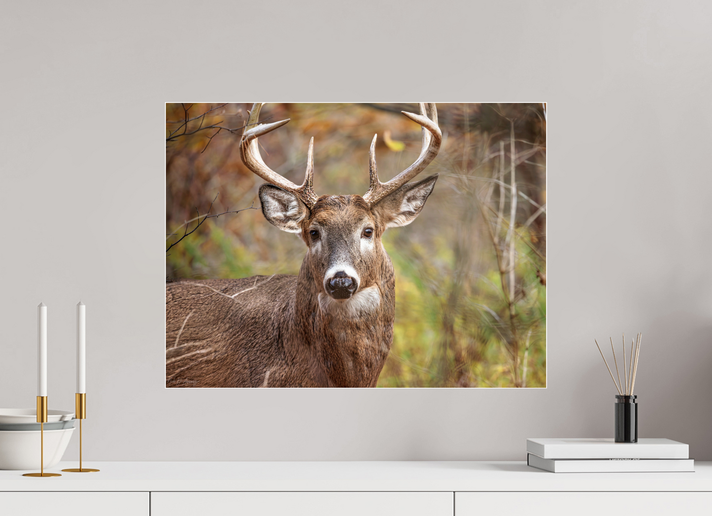 60 x 45 cm, Acrylic Glass 4mm, Glossy Woodland Buck | Acrylic Glass Fine Art Print