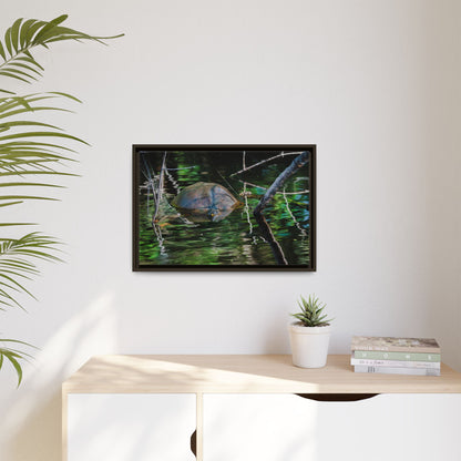 Untitled (Painted Turtle) | Framed Canvas