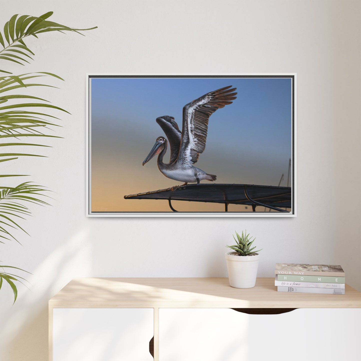 Coastal Pelican | Framed Canvas