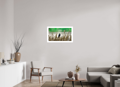 80 x 45 cm, Fine Art Paper (Hahnemühle Photo Rag 308) Blackbird | Acrylic Glass Fine Art Print