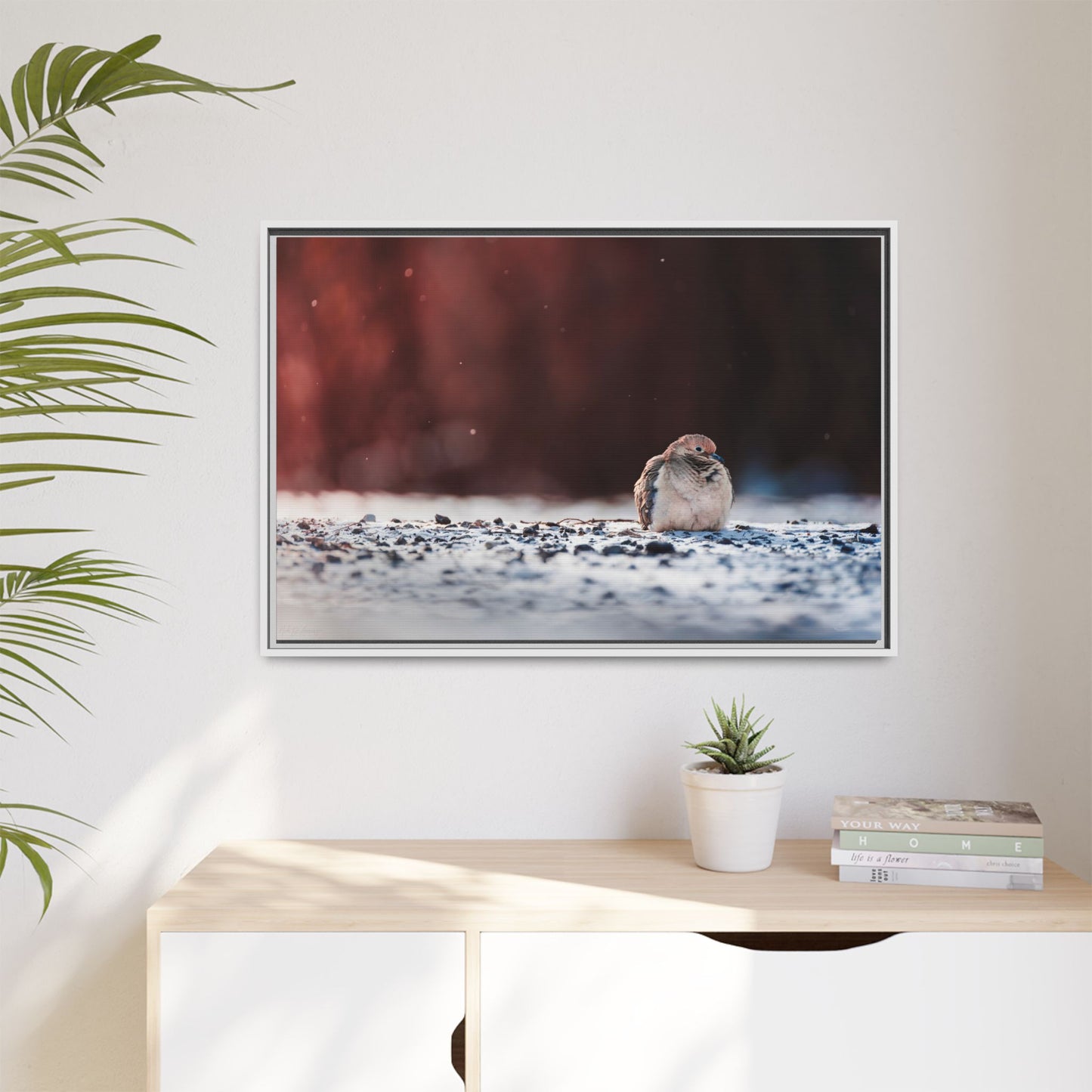 Dove | Framed Canvas