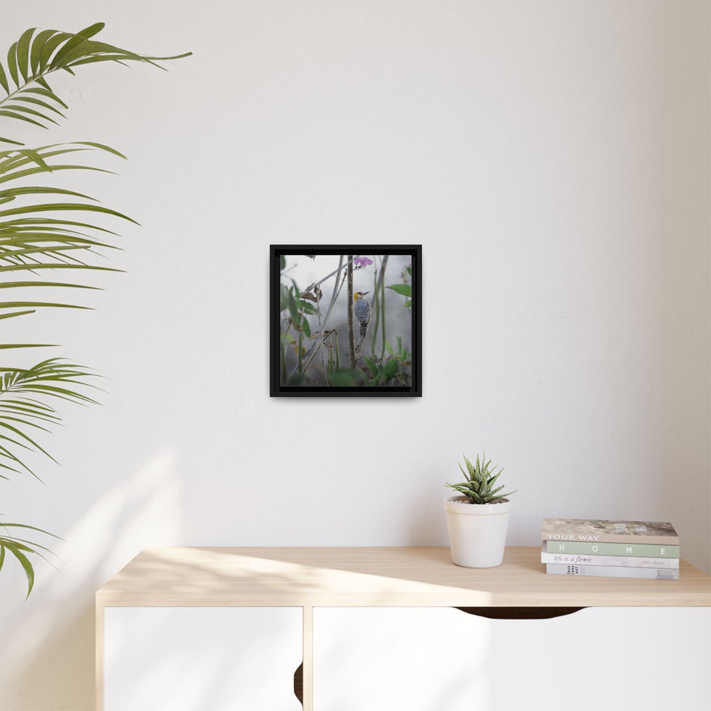 Golden-Cheeked Woodpecker II Framed Canvas Print
