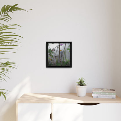 Golden-Cheeked Woodpecker II Framed Canvas Print