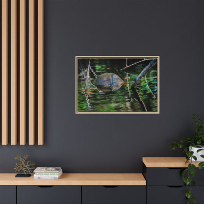 Untitled (Painted Turtle) | Framed Canvas