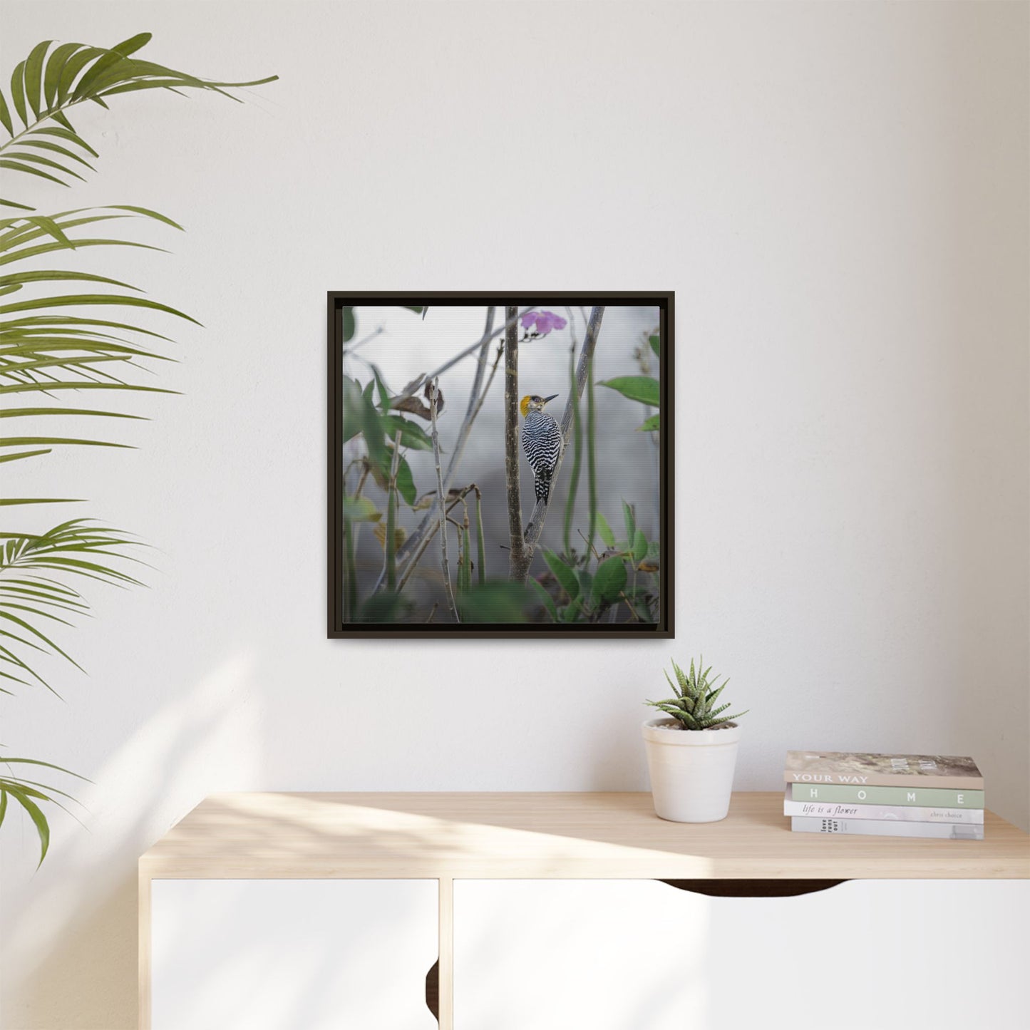 Golden-Cheeked Woodpecker II Framed Canvas Print
