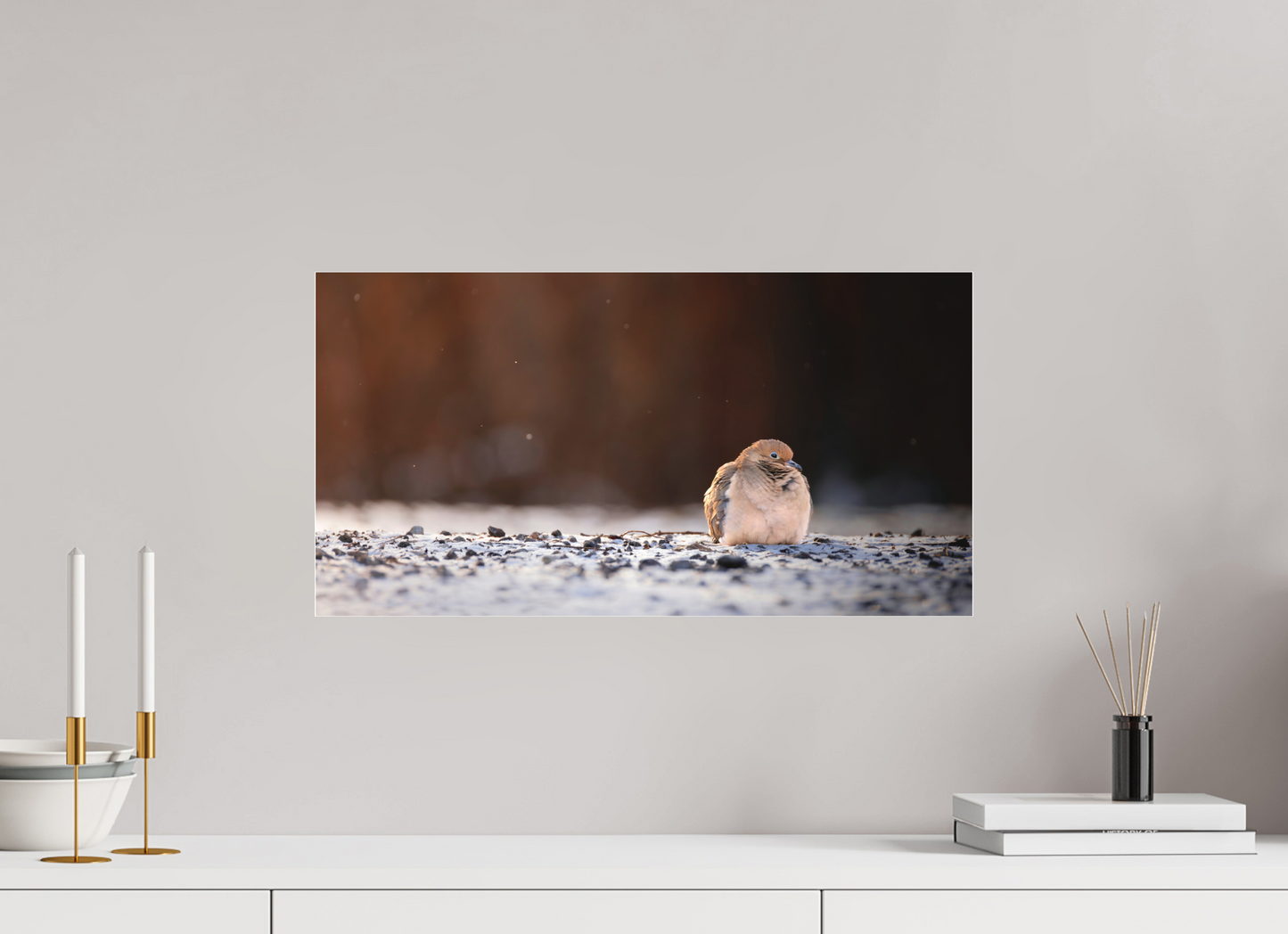 57.3 x 30 cm, Photo Print Under Acrylic Glass 2 mm, Matte DOVE