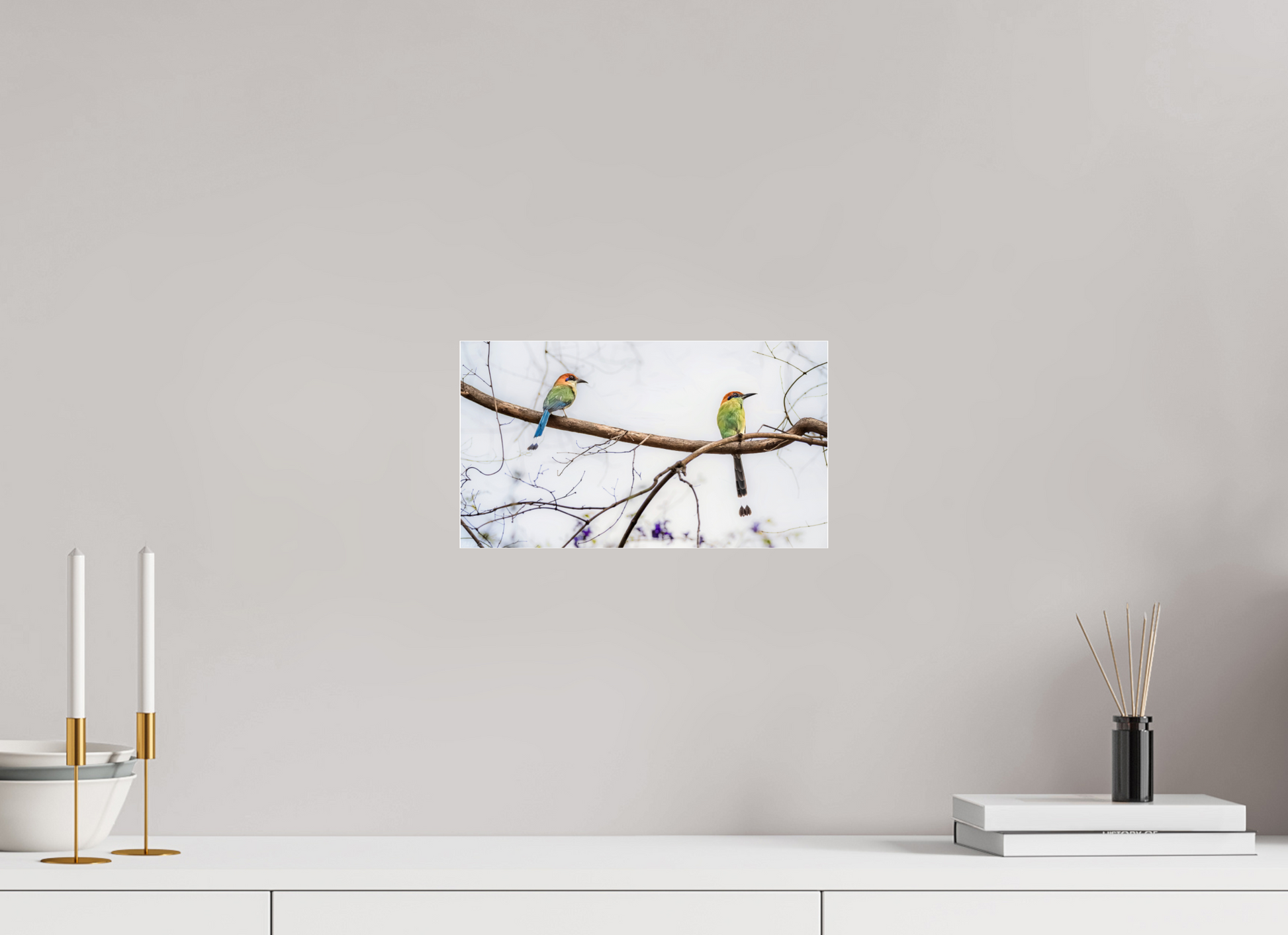 32 x 18 cm, Photo Print Under Acrylic Glass 4 mm, Glossy Twin Motmots | Acrylic Glass Fine Art Print