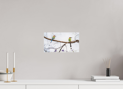 32 x 18 cm, Photo Print Under Acrylic Glass 4 mm, Glossy Twin Motmots | Acrylic Glass Fine Art Print
