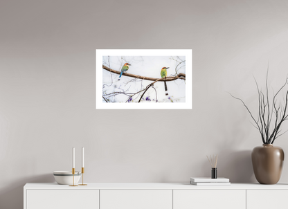 64 x 36 cm, Fine Art Paper (Hahnemühle Photo Rag 308) Twin Motmots | Acrylic Glass Fine Art Print