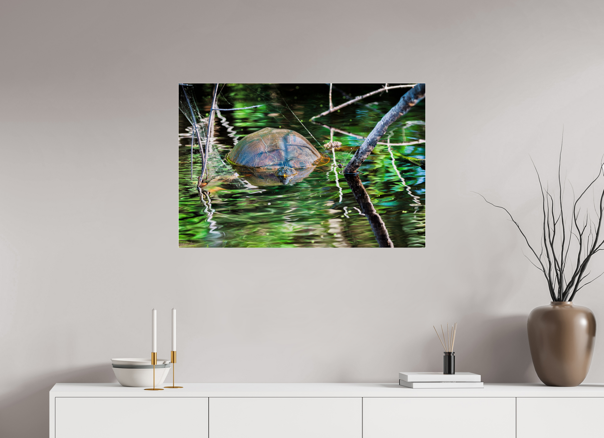 90 x 60 cm, Photo Print Under Acrylic Glass 4 mm, Glossy Untitled (Painted Turtle) | Acrylic Glass Fine Art Print