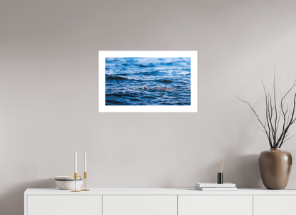 64 x 36 cm, Fine Art Paper (Hahnemühle Photo Rag 308) RIDLEY TORTUGA