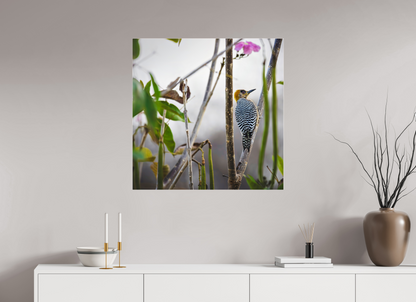 80 x 80 cm, Photo Print Under Acrylic Glass 4 mm, Glossy Golden Cheek