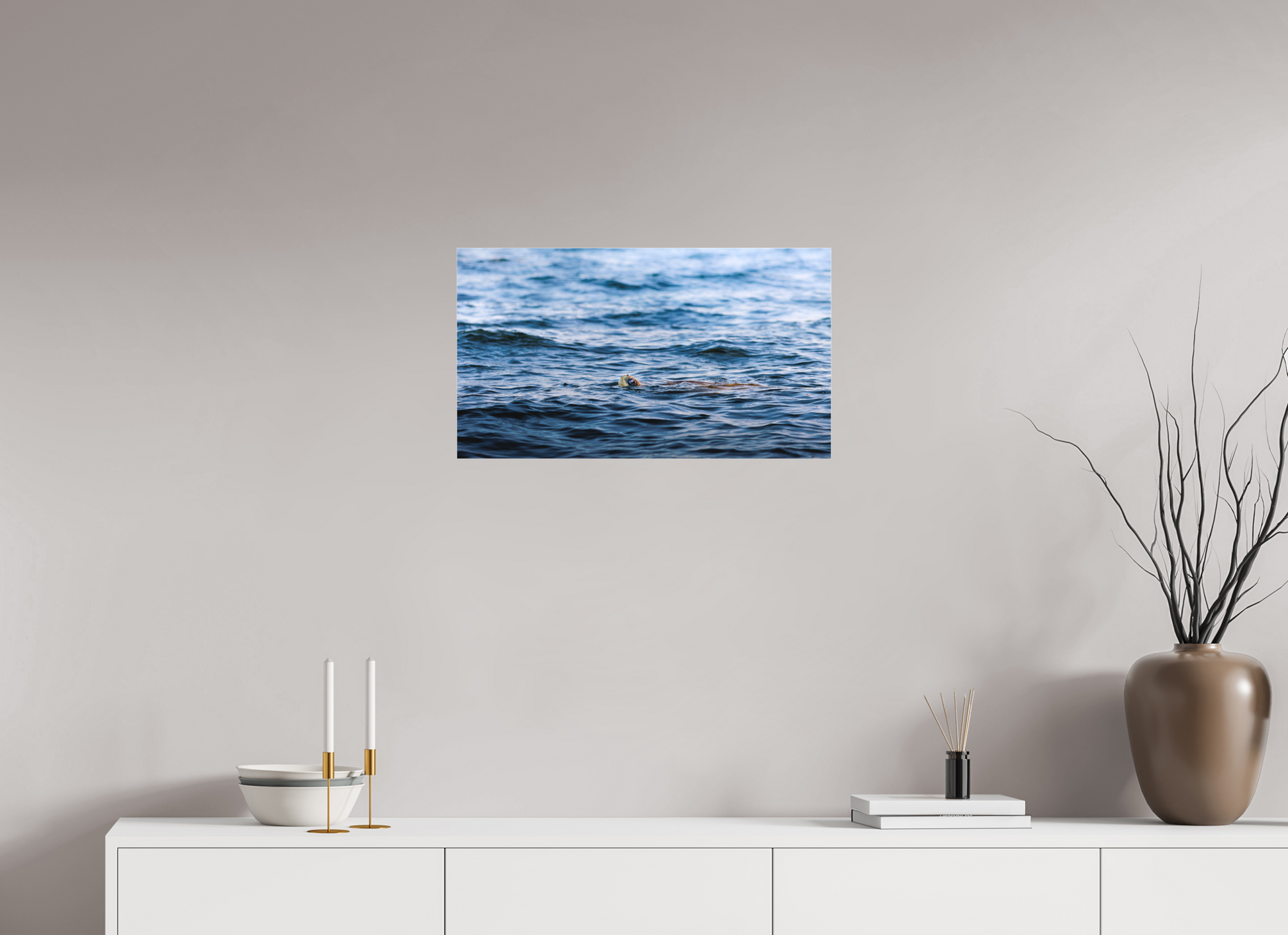 64 x 36 cm, Photo Print Under Acrylic Glass 2 mm, Matte RIDLEY TORTUGA