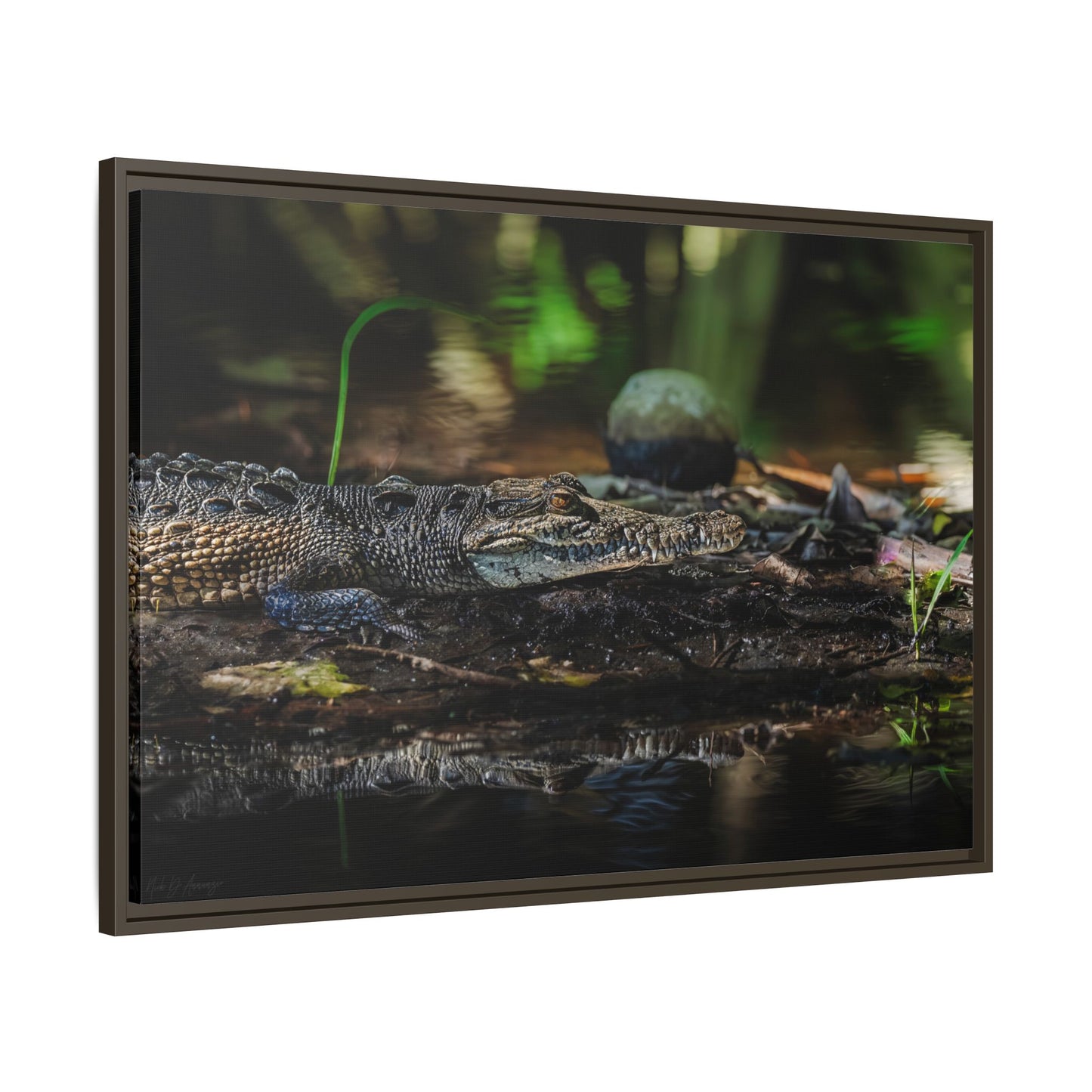 Oaxacroc | Framed Canvas