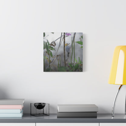Golden-Cheeked Woodpecker | Canvas Print