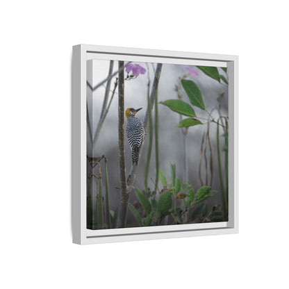 Golden Cheek | Framed Canvas