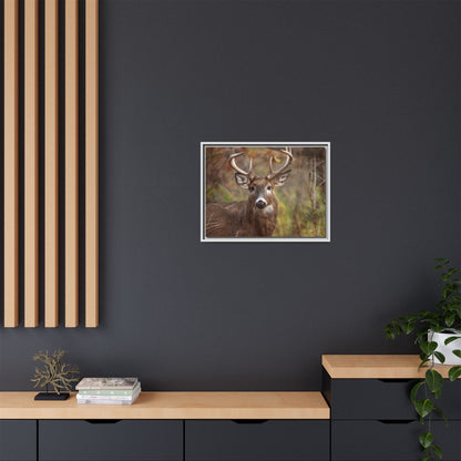 Woodland Buck | Framed Canvas