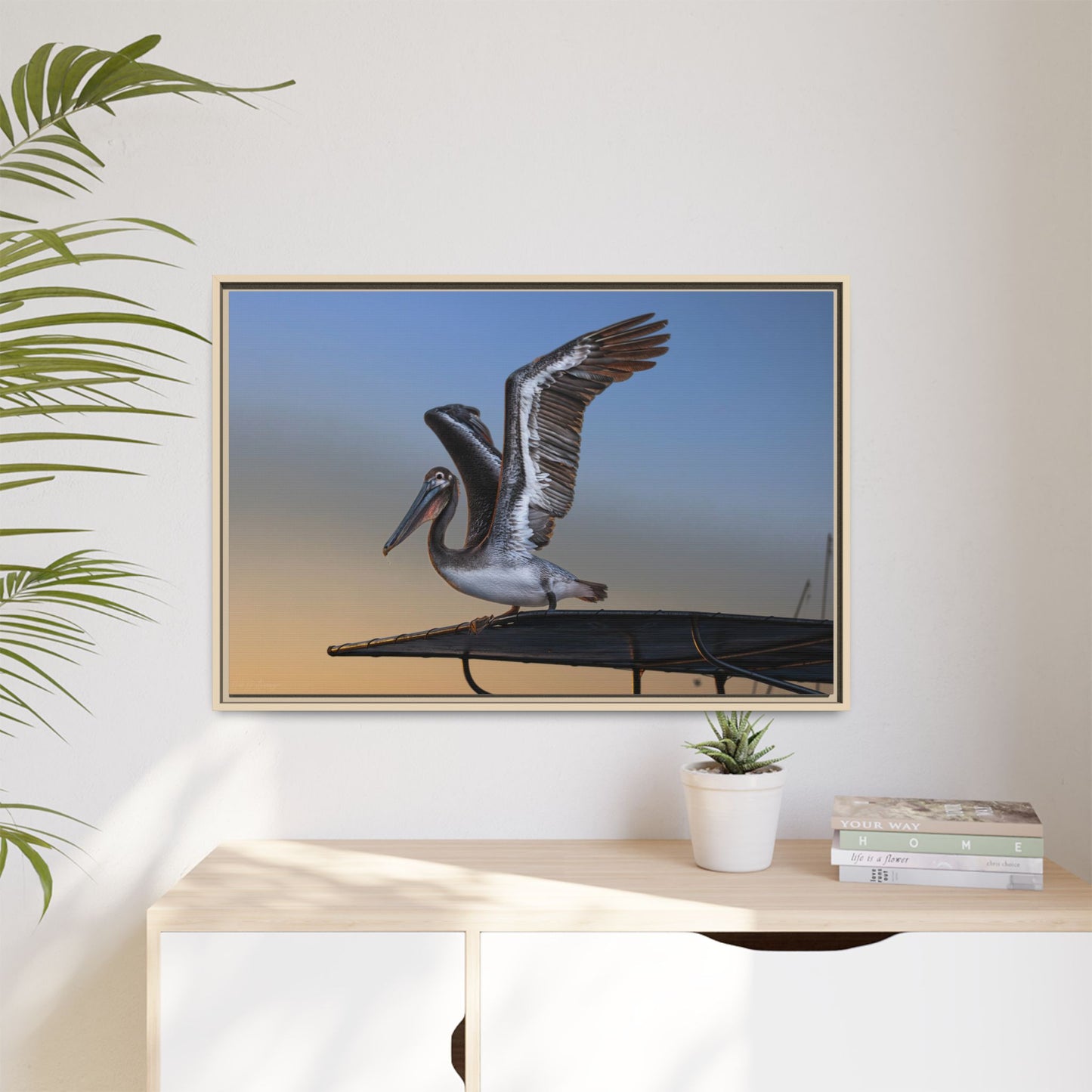 Coastal Pelican | Framed Canvas