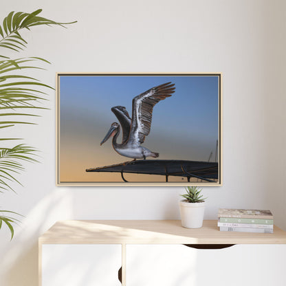Coastal Pelican | Framed Canvas