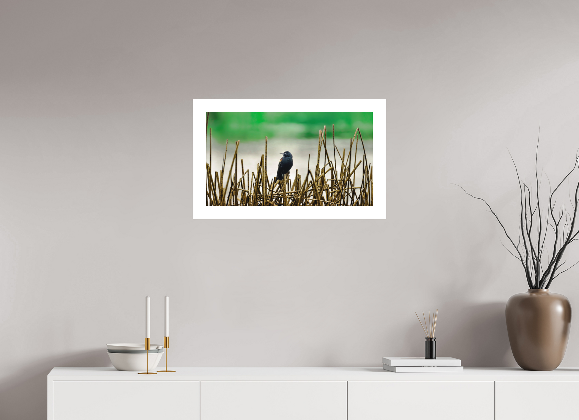 64 x 36 cm, Fine Art Paper (Hahnemühle Photo Rag 308) Blackbird | Acrylic Glass Fine Art Print