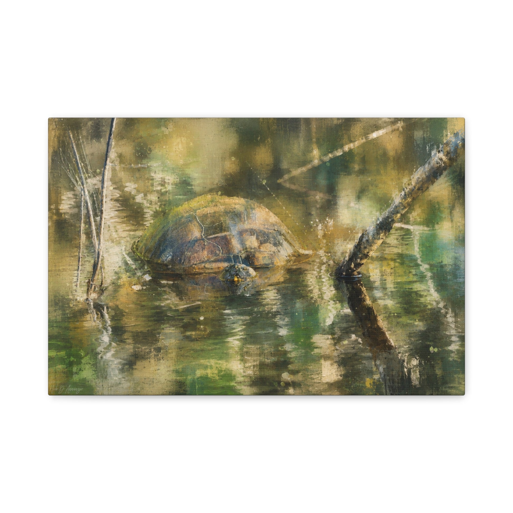 Painted Turtle Light Abstract Canvas Print by WildLenz