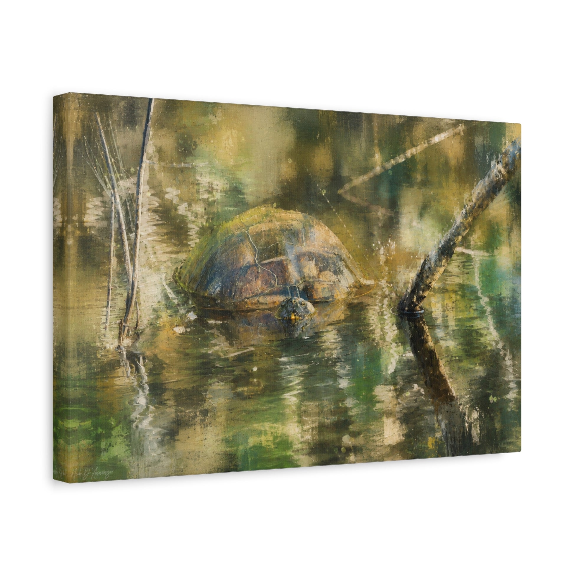 Painted Turtle Light Abstract Canvas Print by WildLenz