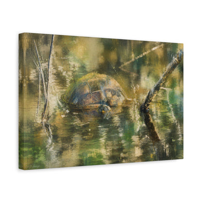 Painted Turtle Light Abstract Canvas Print by WildLenz