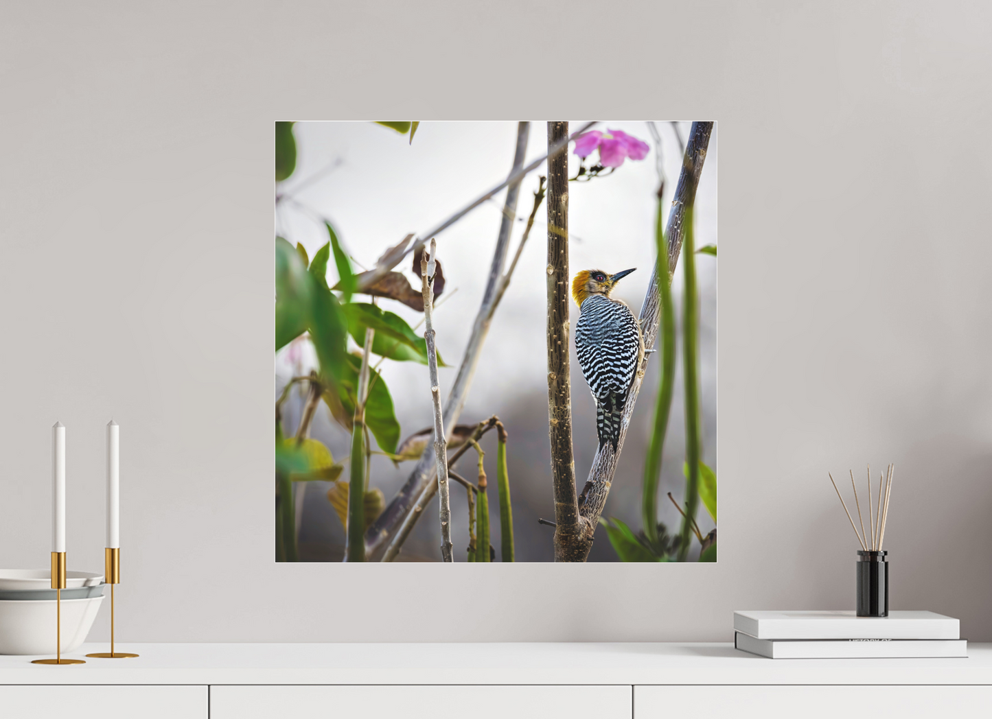 50 x 50 cm, Photo Print Under Acrylic Glass 2 mm, Matte Golden Cheek