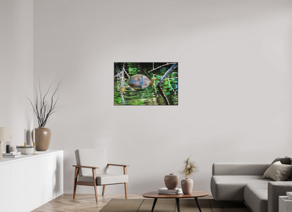 90 x 60 cm, Photo Print Under Acrylic Glass 2mm, Matte, Aluminum ArtBox, 25mm (Black) Untitled (Painted Turtle) | Acrylic Glass Fine Art Print