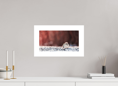 38.2 x 20 cm, Fine Art Paper (Hahnemühle Photo Rag 308) Dove | Acrylic Glass Fine Art Print