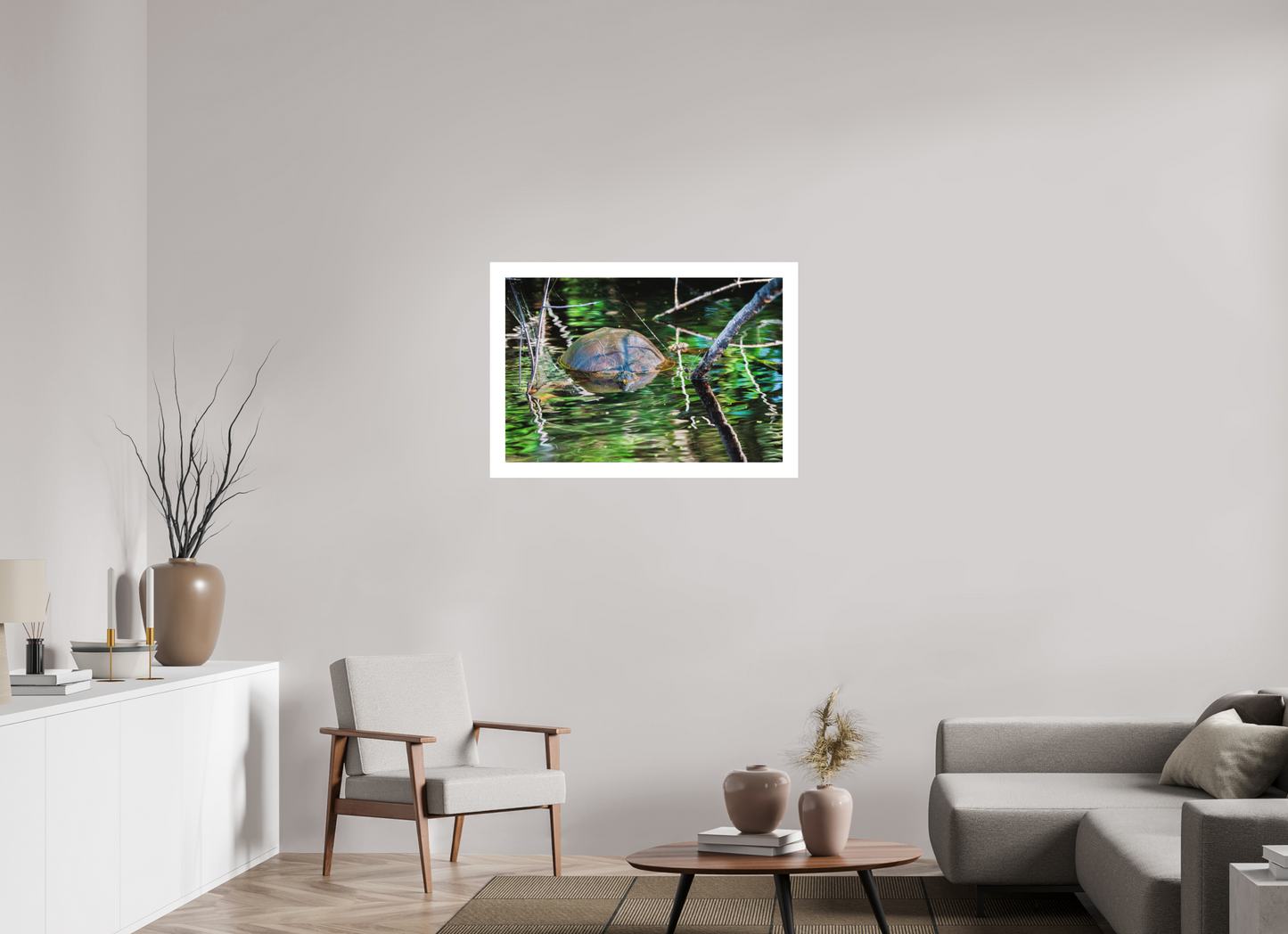 90 x 60 cm, Fine Art Paper (Hahnemühle Photo Rag 308) Untitled (Painted Turtle) | Acrylic Glass Fine Art Print