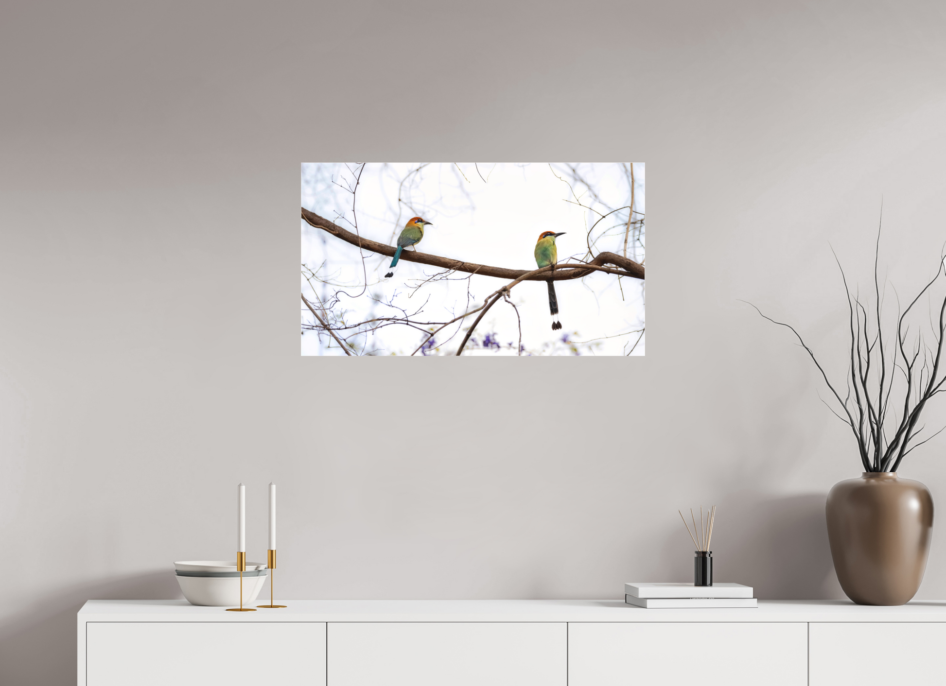 80 x 45 cm, Acrylic Glass 2 mm, Matte TWIN MOTMOTS