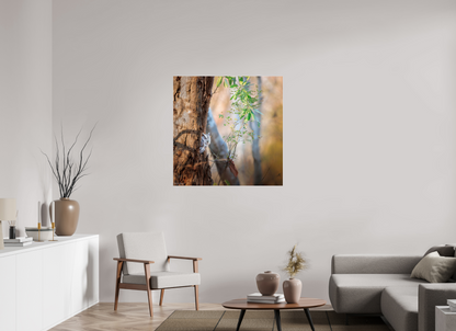 100 x 100 cm, Photo Print Under Acrylic Glass 4 mm, Glossy Pacific Screech | Acrylic Glass Fine Art Print