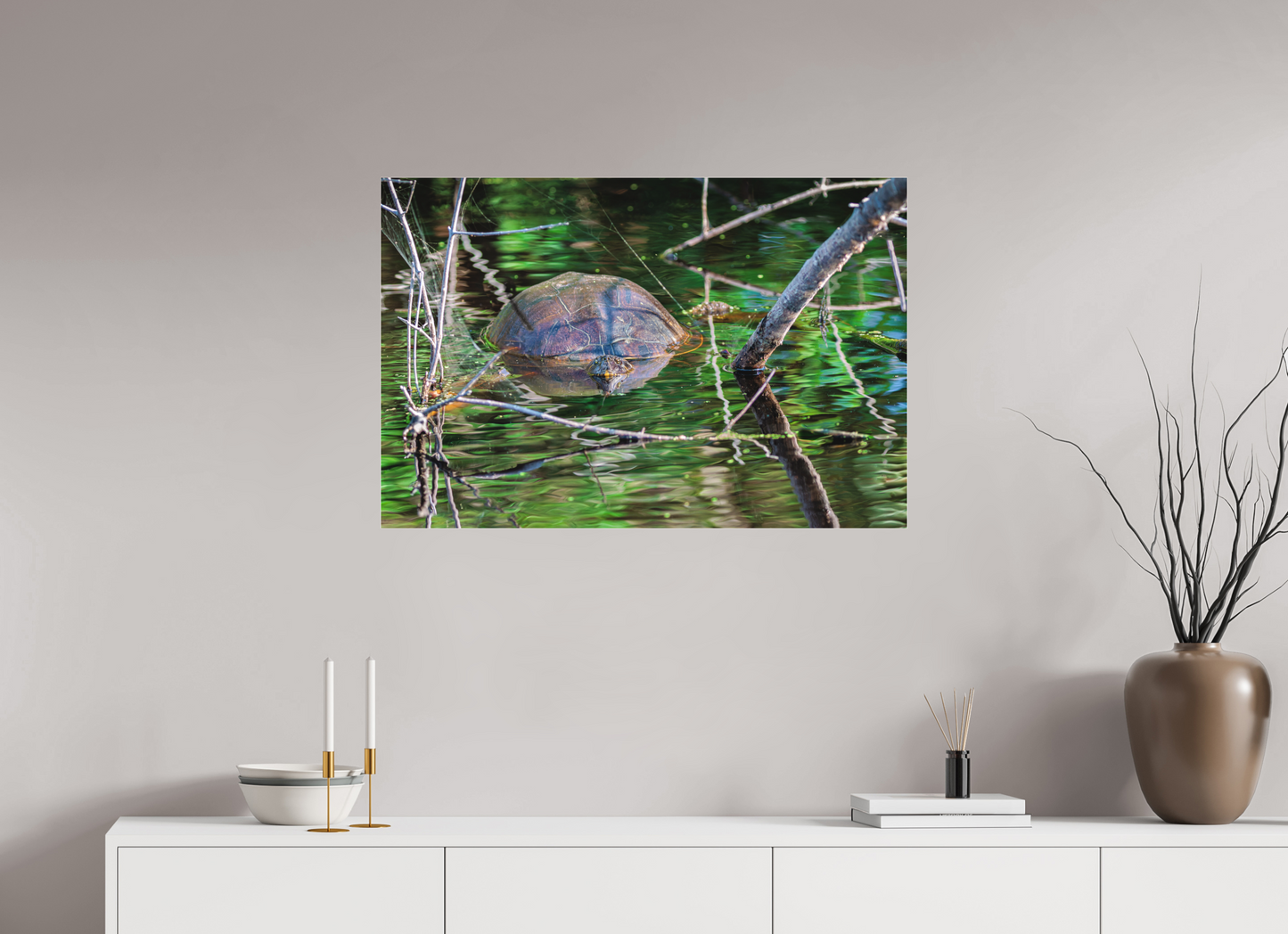 90 x 60 cm, Photo Print Under Acrylic Glass 2 mm, Matte UNTITLED (PAINTED TURTLE)