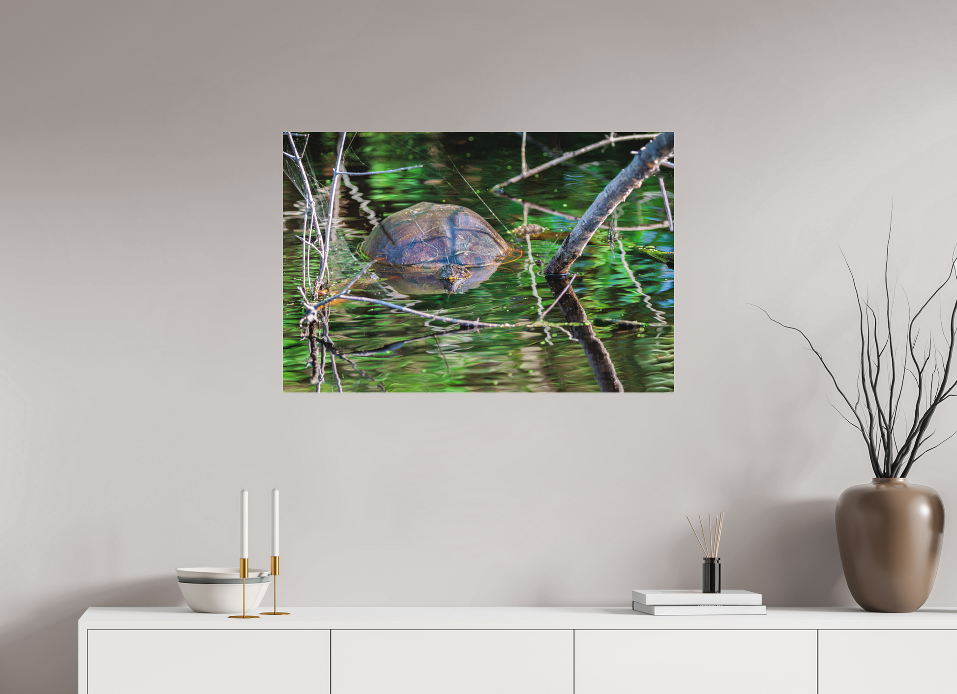 90 x 60 cm, Photo Print Under Acrylic Glass 2 mm, Matte UNTITLED (PAINTED TURTLE)