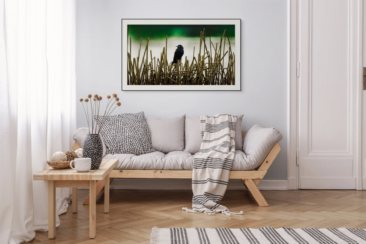 Living room with a sofa, coffee table, and  wall art of wildlenz blackbird.