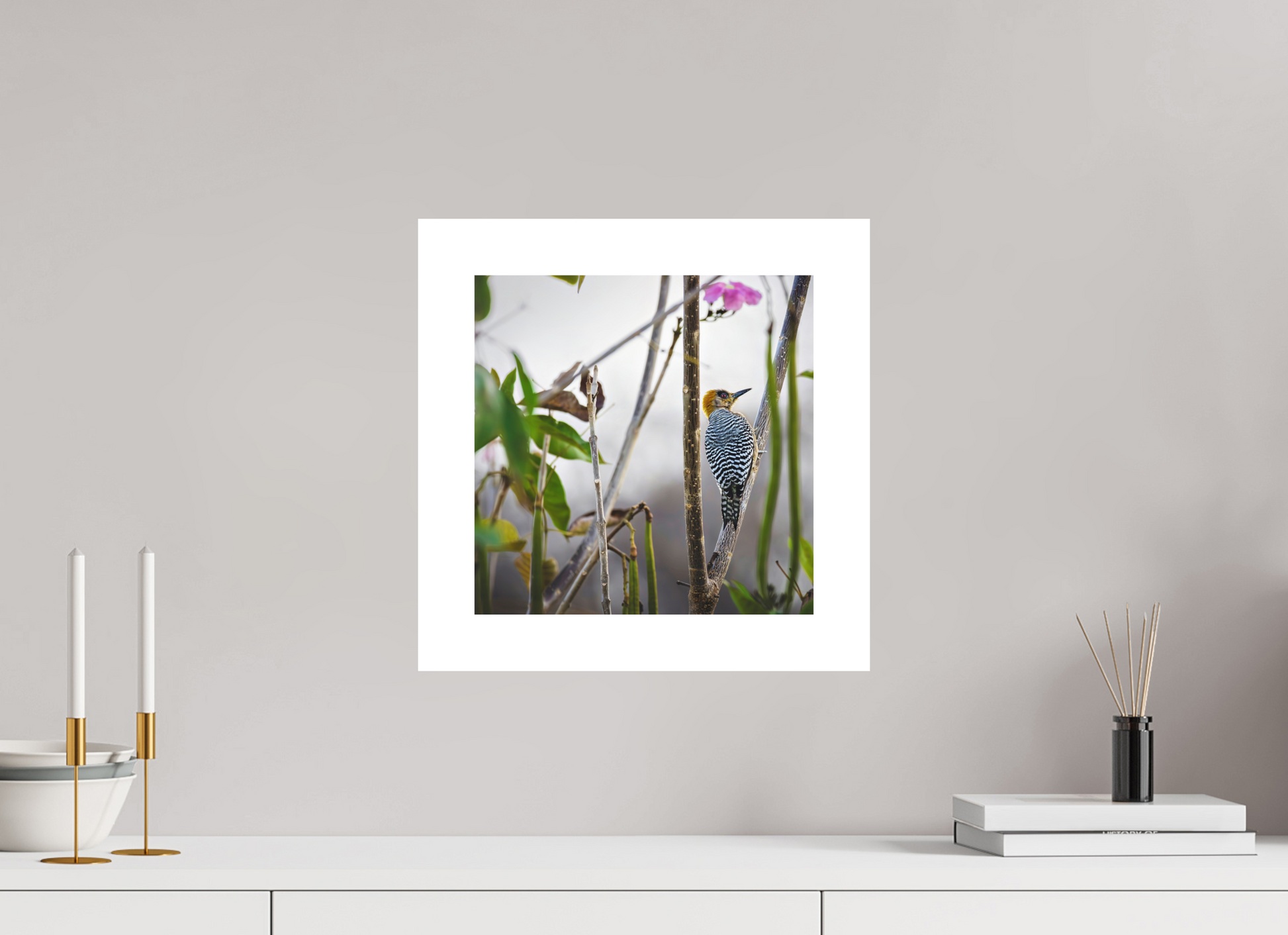 30 x 30 cm, Fine Art Paper (Hahnemühle Photo Rag 308) Golden Cheek