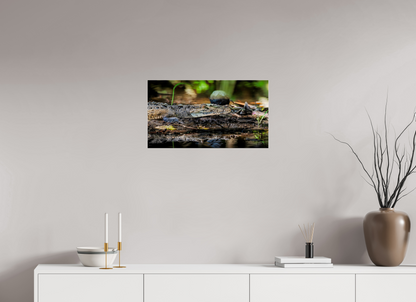 64 x 36 cm, Photo Print Under Acrylic Glass 4 mm, Glossy Oaxacroc | Acrylic Glass Fine Art Print