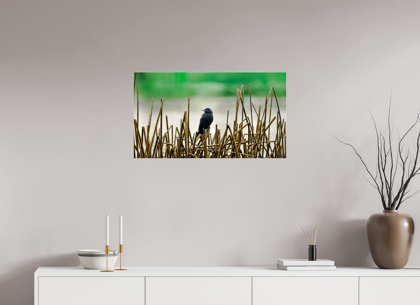 80 x 45 cm, Photo Print Under Acrylic Glass 4 mm, Glossy Blackbird | Acrylic Glass Fine Art Print