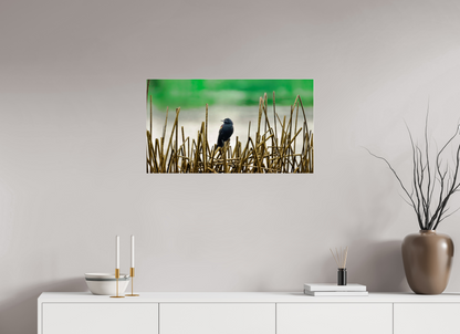 80 x 45 cm, Photo Print Under Acrylic Glass 4 mm, Glossy Blackbird | Acrylic Glass Fine Art Print