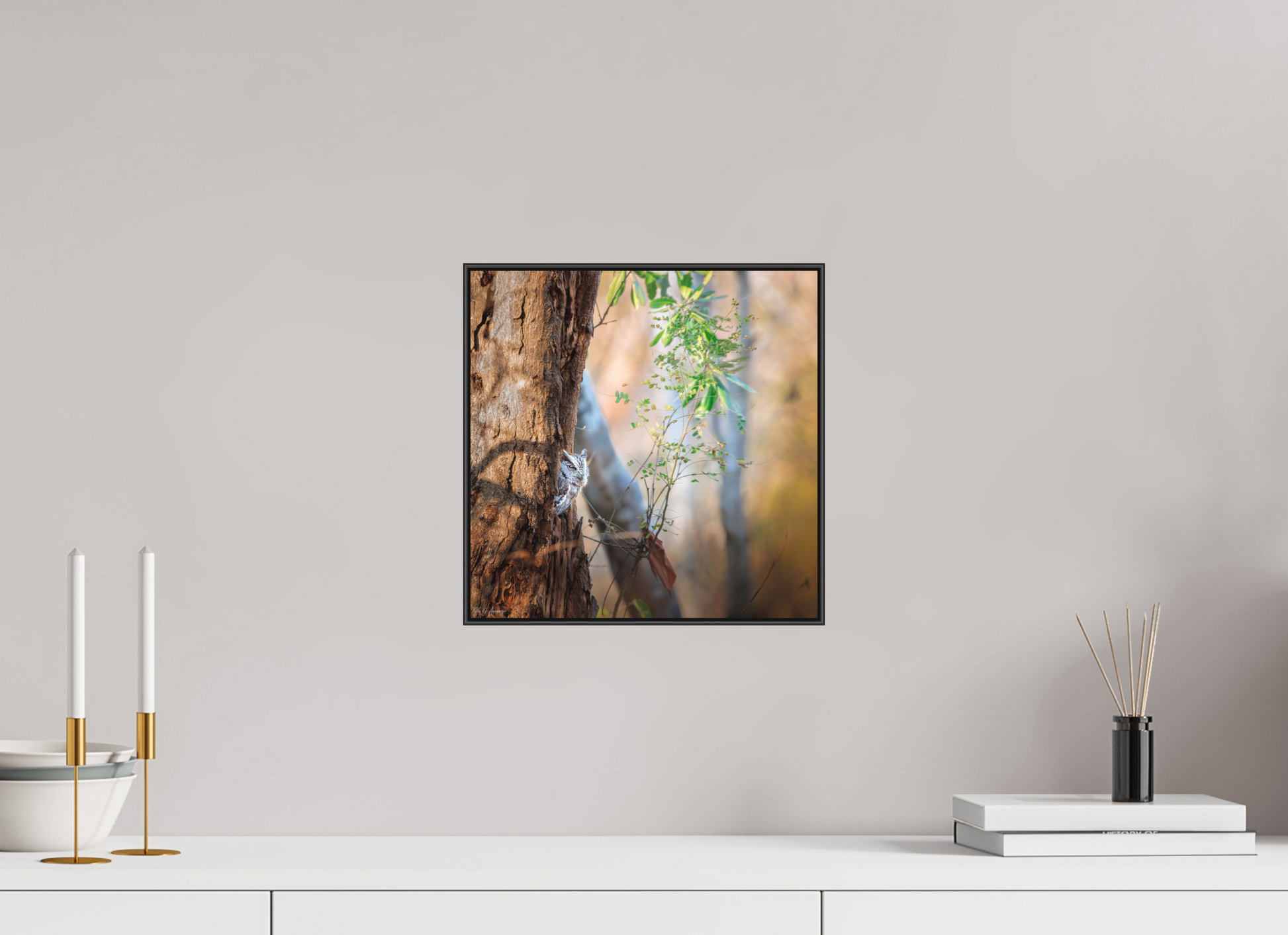 30 x 30 cm, Photo Print Under Acrylic Glass 2mm, Matte, Aluminum ArtBox, 25mm (Black) Pacific Screech | Acrylic Glass Fine Art Print