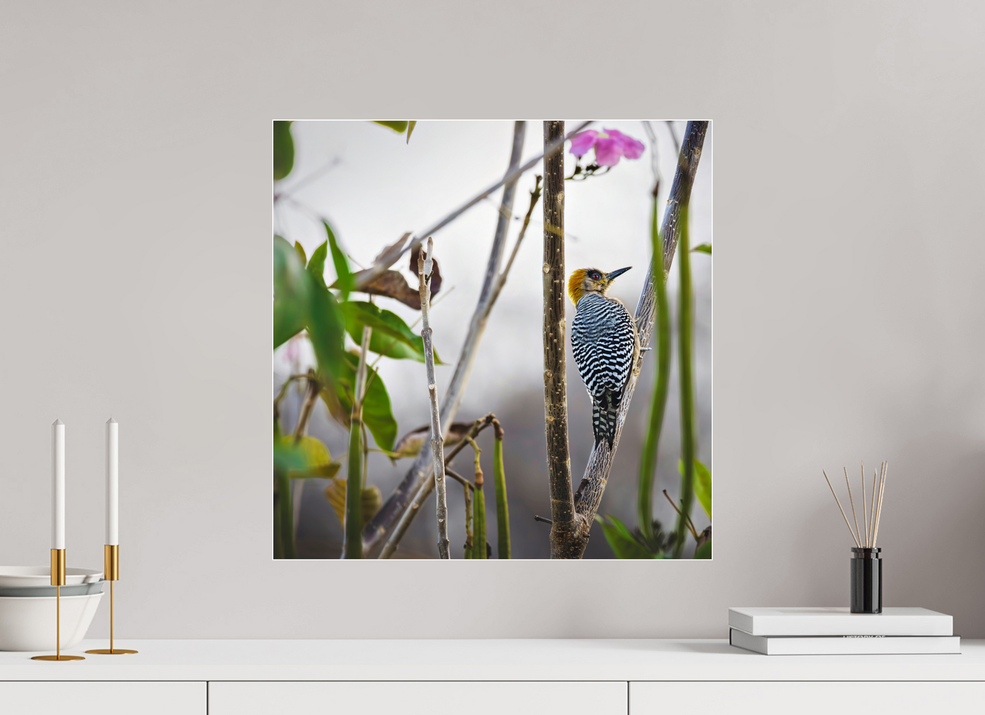 50 x 50 cm, Photo Print Under Acrylic Glass 4 mm, Glossy Golden Cheek