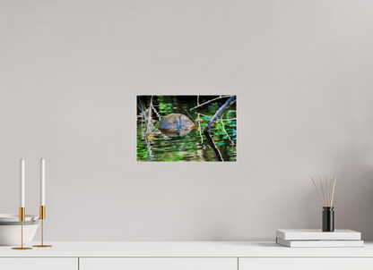 30 x 20 cm, Photo Print Under Acrylic Glass 4 mm, Glossy Untitled (Painted Turtle) | Acrylic Glass Fine Art Print