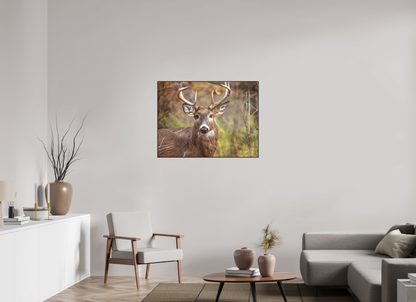 100 x 75 cm, Photo Print Under Acrylic Glass 2mm, Matte Woodland Buck | Acrylic Glass Fine Art Print