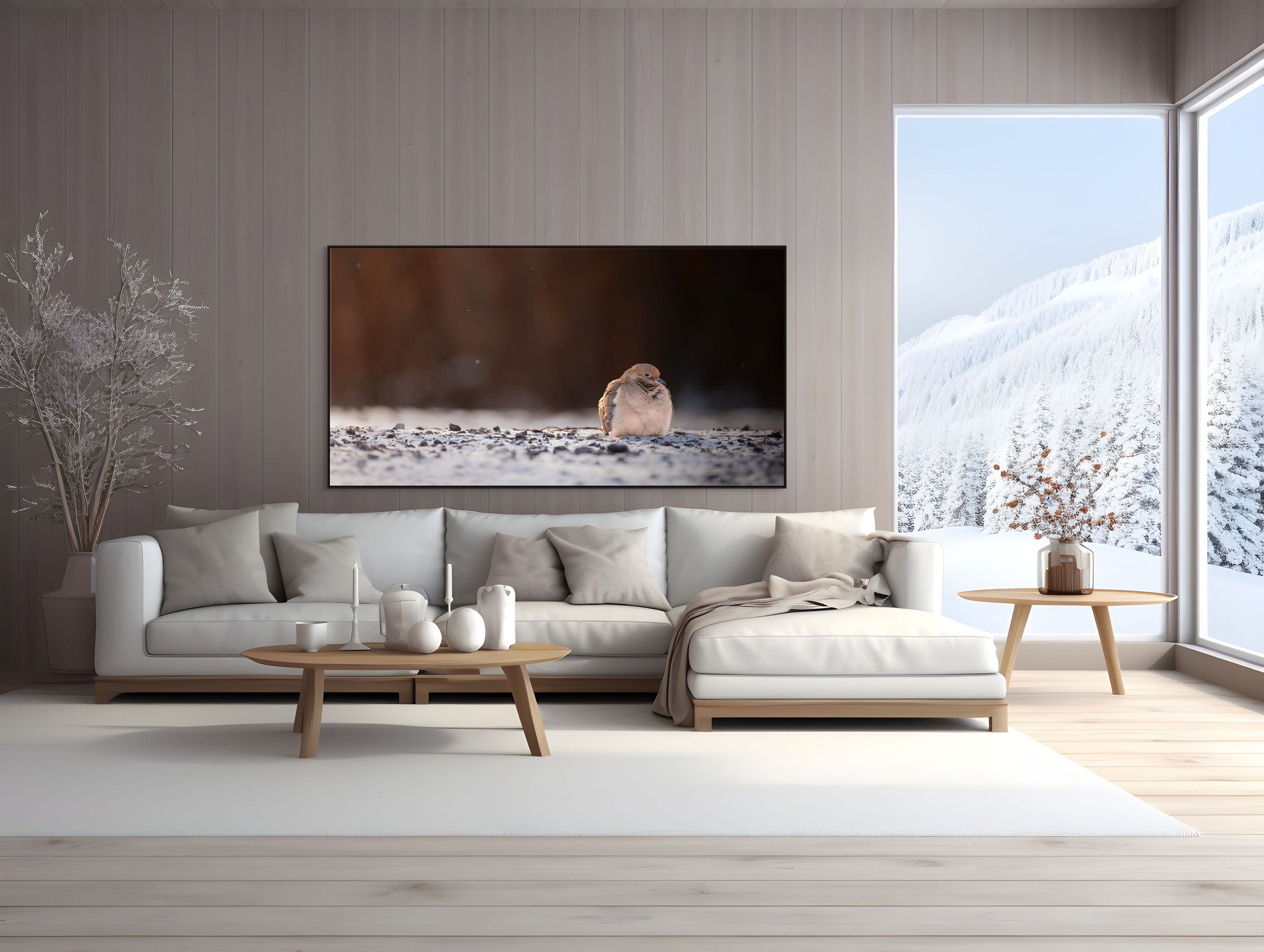 Mourning dove in a quiet winter landscape — WildLenz Canadian Fine Art Series