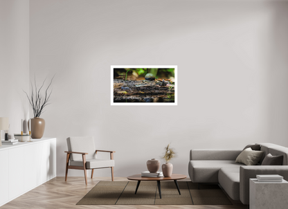 112 x 63 cm, Fine Art Paper (Hahnemühle Photo Rag 308) Oaxacroc | Acrylic Glass Fine Art Print