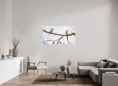 144 x 81 cm, Photo Print Under Acrylic Glass 4 mm, Glossy Twin Motmots | Acrylic Glass Fine Art Print