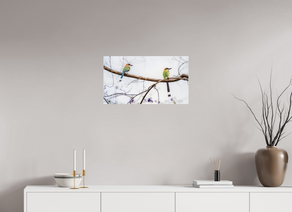 64 x 36 cm, Photo Print Under Acrylic Glass 4 mm, Glossy Twin Motmots | Acrylic Glass Fine Art Print