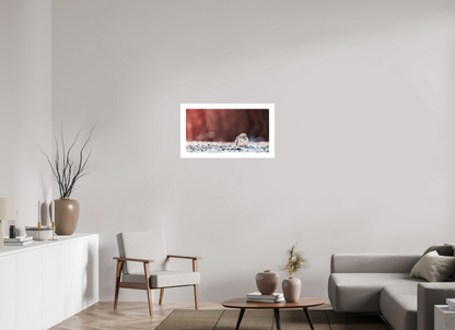 76.4 x 40 cm, Fine Art Paper (Hahnemühle Photo Rag 308) Dove | Acrylic Glass Fine Art Print