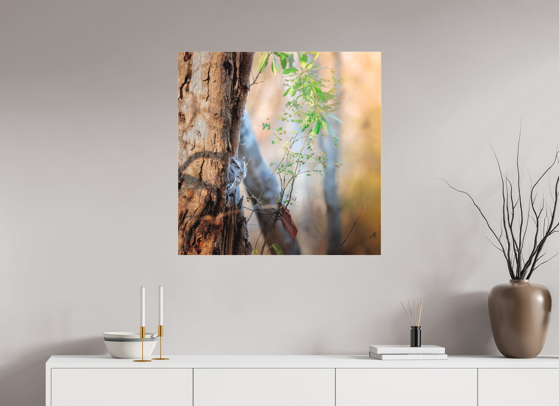 80 x 80 cm, Photo Print Under Acrylic Glass 2 mm, Matte PACIFIC SCREECH